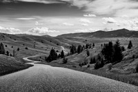 The Long and Winding Road
