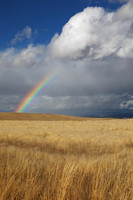 Landscapes
