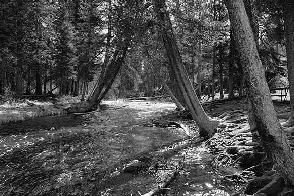 Lava Creek