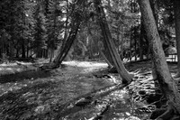 Lava Creek